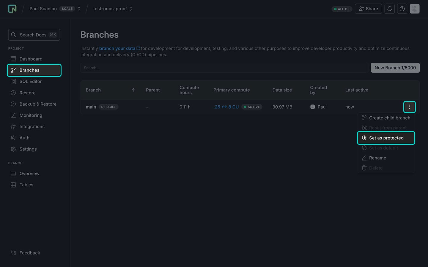 Screenshot of Neon console showing Protected Branches settings